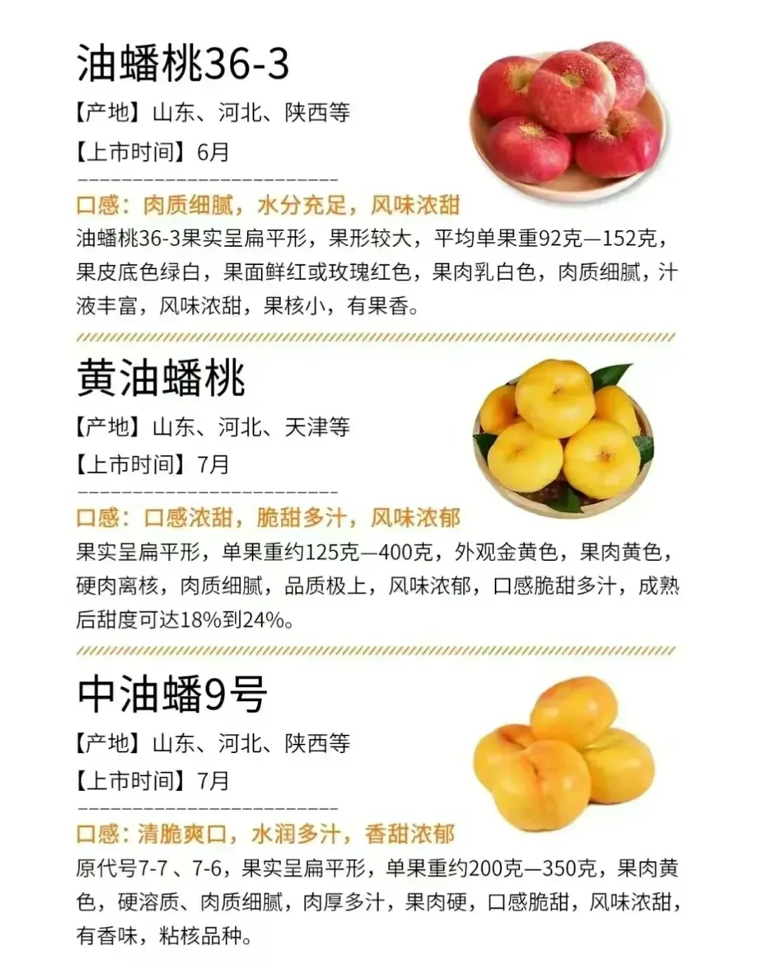 盘点常见油桃的口感特点,好好地享受油桃的美味