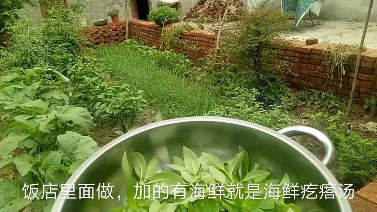 经典地道农家饭,荆菜叶疙瘩汤,在大酒店也不一定能吃到