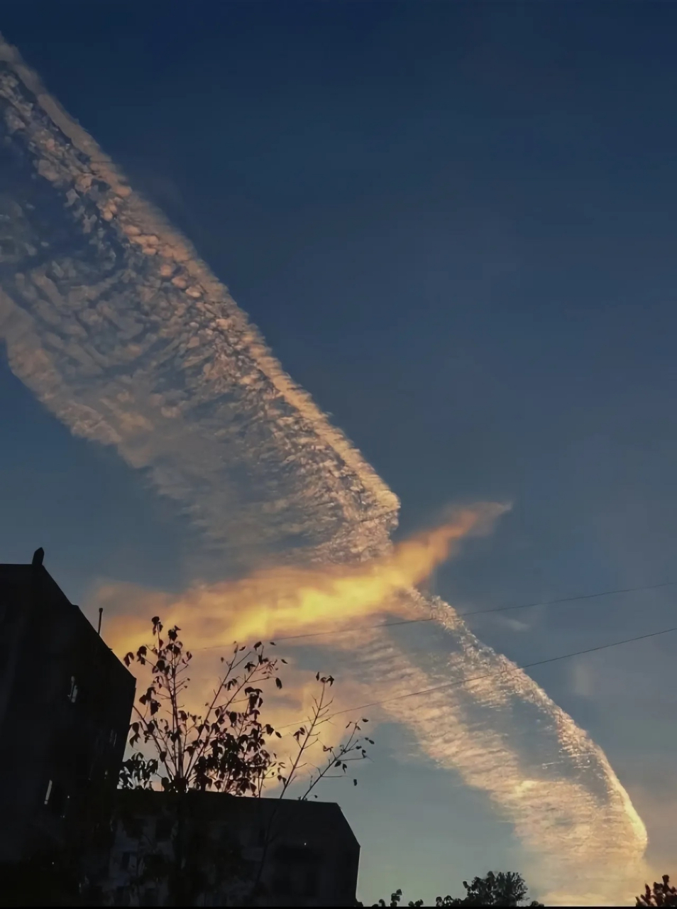 凤凰展翅,舞动生命之翼.