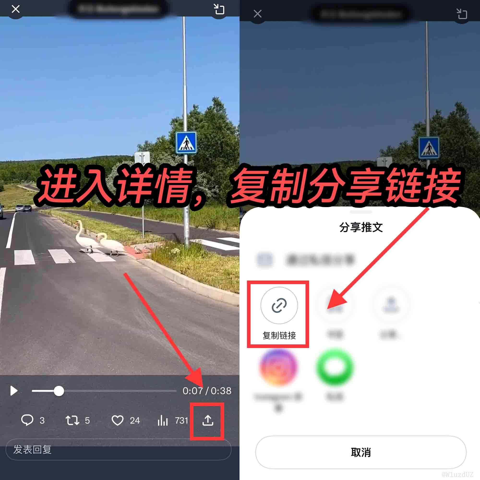 推特图片保存怎么去水印