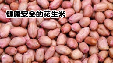 你是否知道,带着黄曲霉素的花生是什么样子?