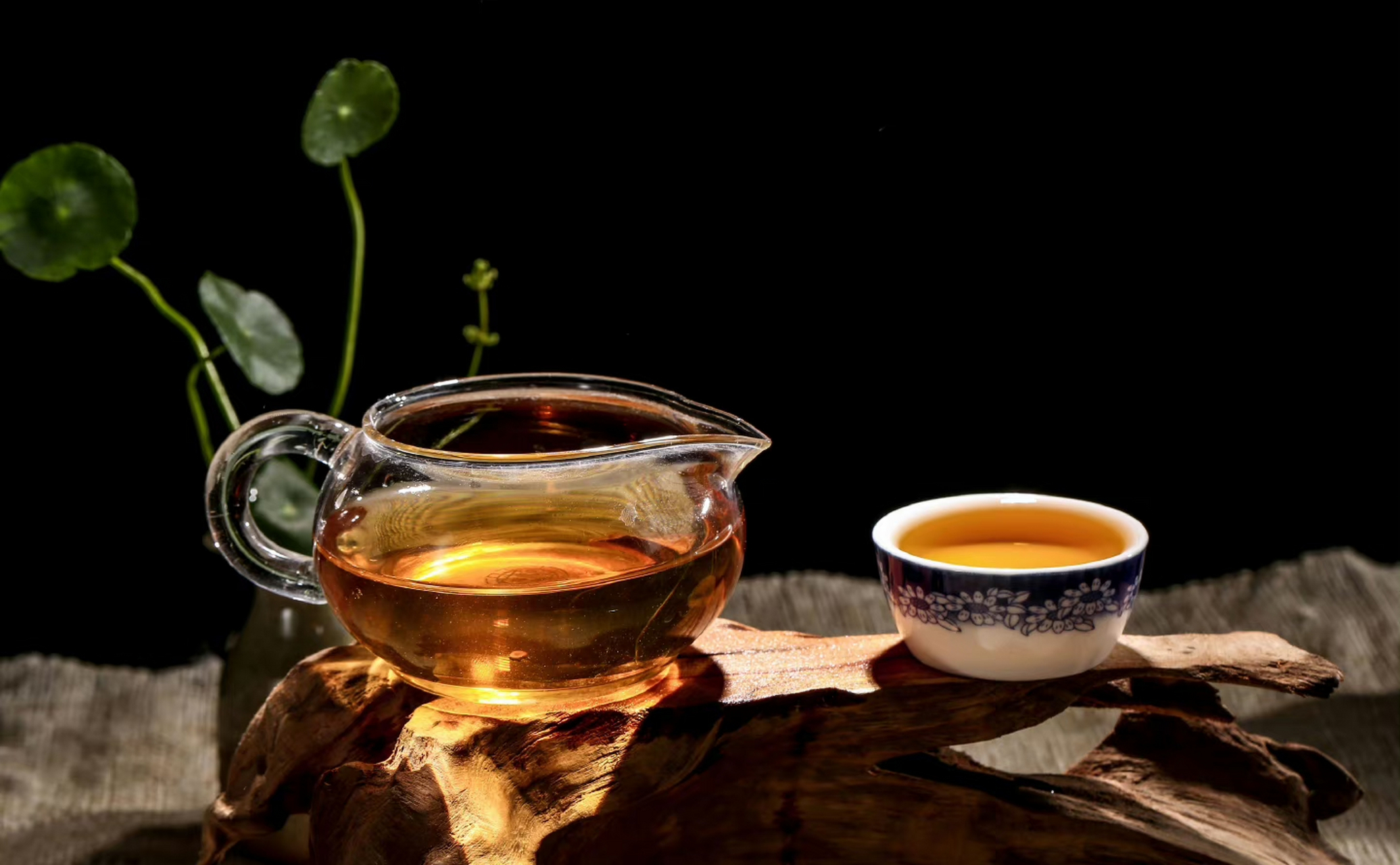 藉由一盏茶,他们畅叙闲情,追求身心的自由,诗意地栖居.
