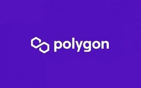 Polygon DAO 推出 Polygon Village：网络扩展解决方案套件