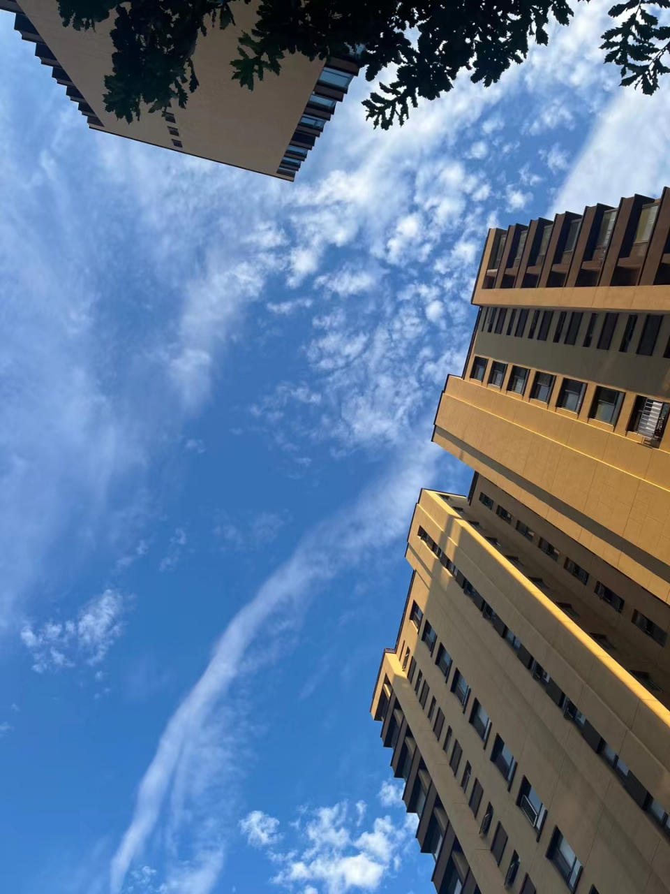 秋天到了 大连雨后的天真蓝啊