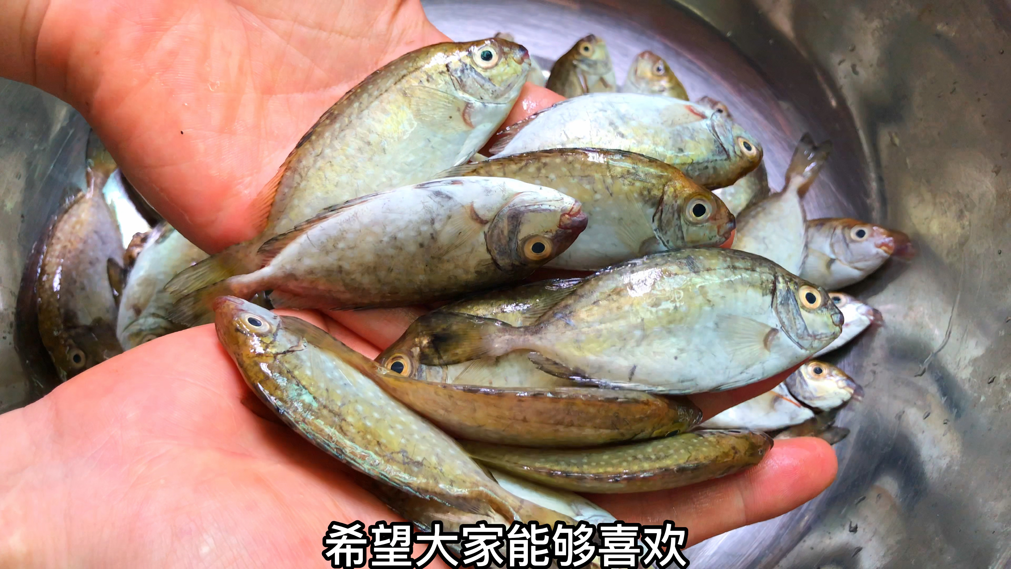 这才是泥猛鱼的海边做法，原汁原味，一分钟就可以学会