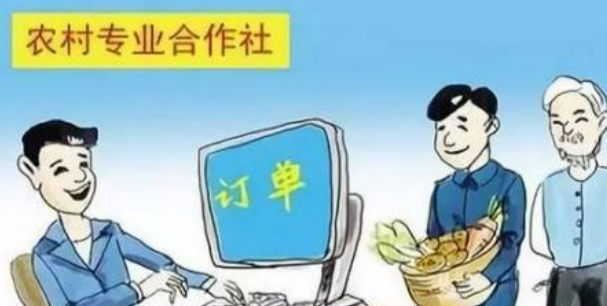 农民专业合作社属于什么企业类型