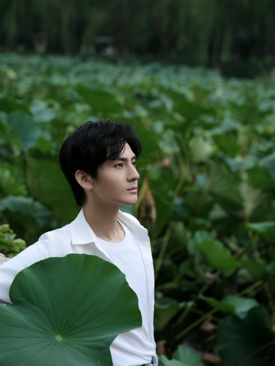 展云飞赵文浩#莲花楼