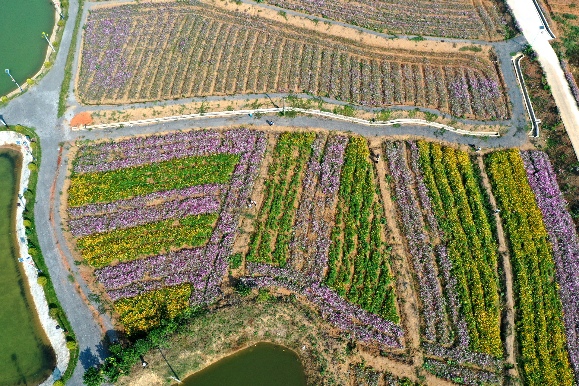 10月31日,无人机航拍视角下的湖南衡阳市石鼓区角山镇利民村山水莲花