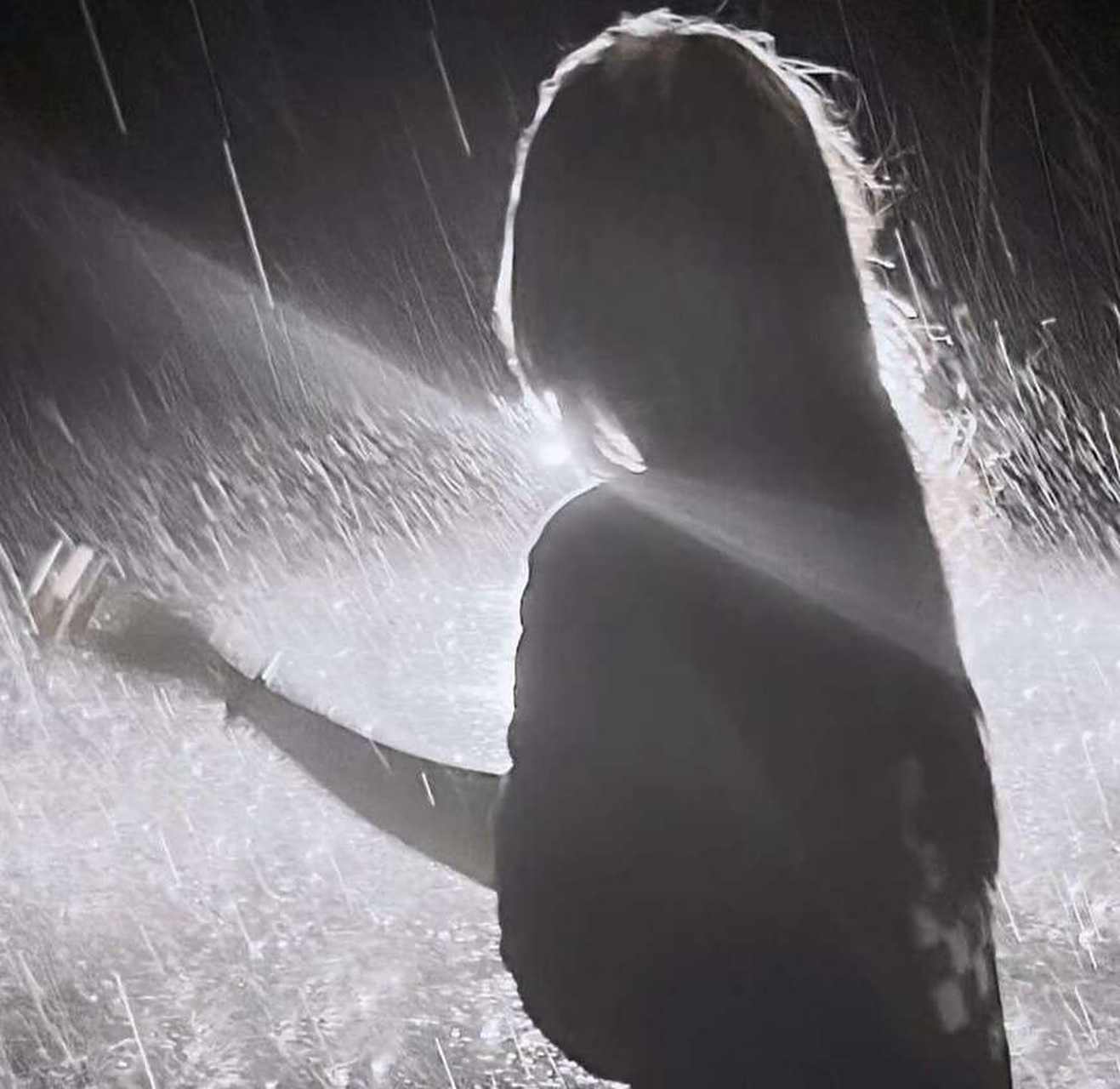 关于狮子座: 狮子座越是失控狠心绝情说话难听,反而越走心动感情,真的