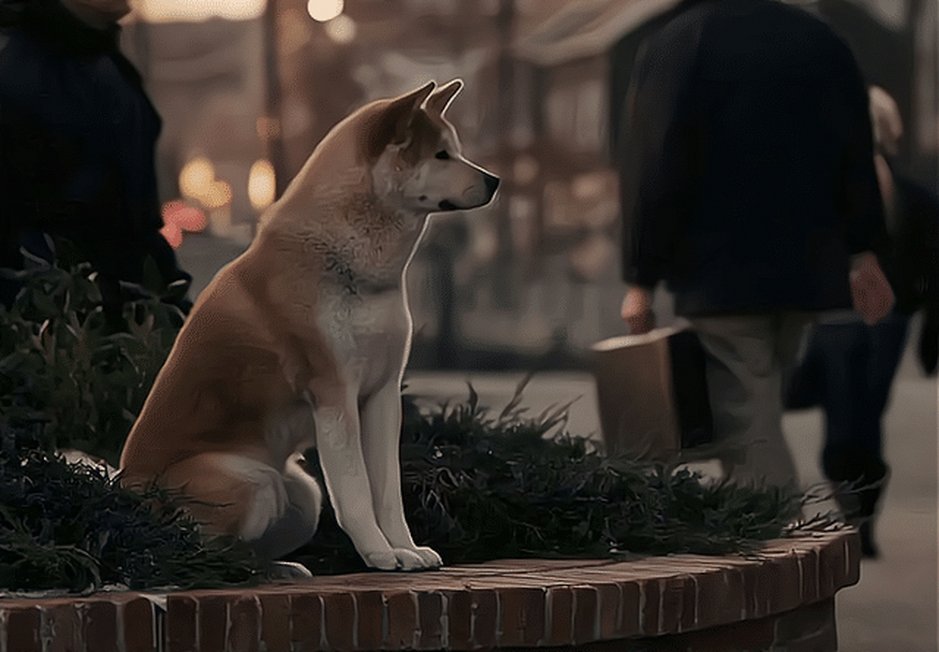 中国版本的《忠犬八公》因日版《忠