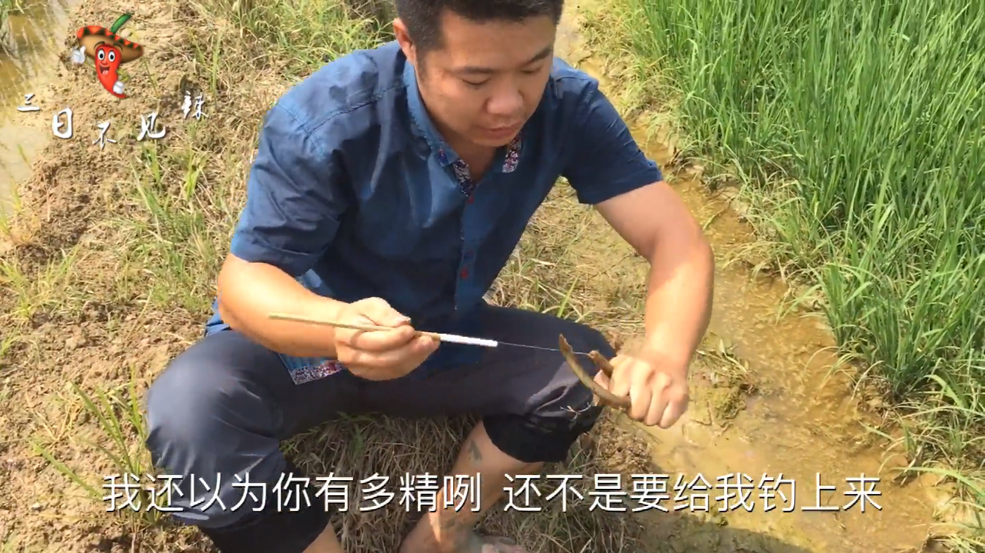 小肖教你自制黄鳝钩,做法简单,通杀大小黄鳝,效果超乎你想象