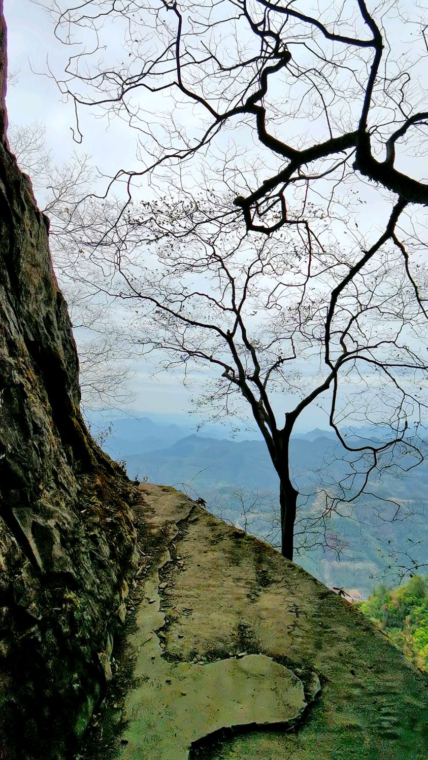 打卡湘西古丈天桥山!