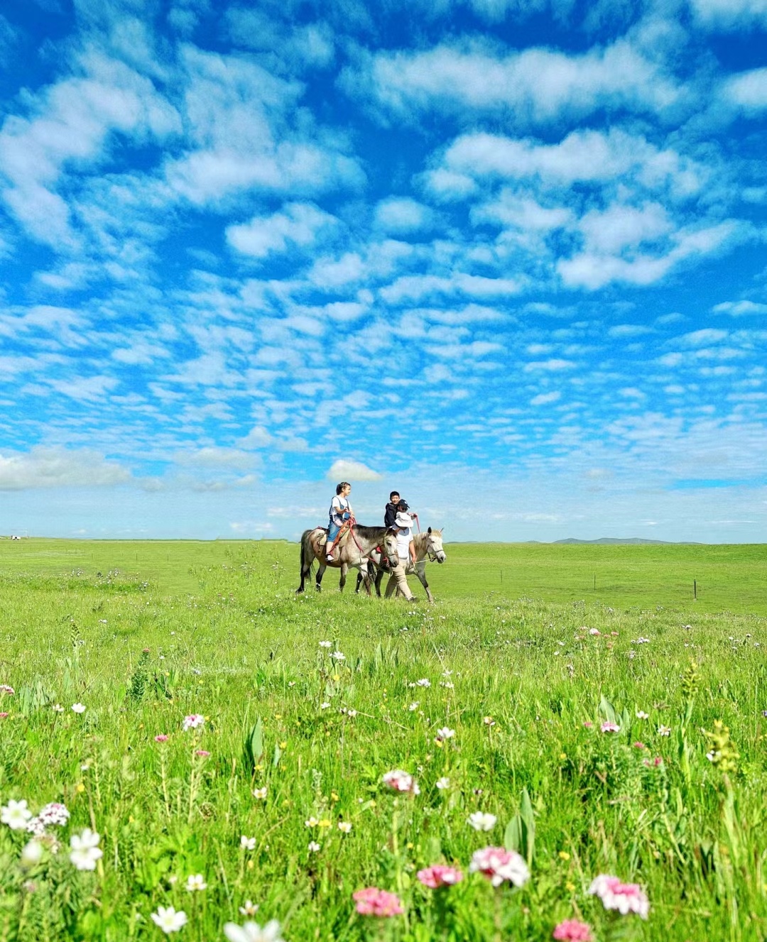 美仁大草原的景色如诗如画,吸引了许多摄影者观看自然美景
