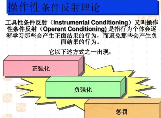 负强化的经典例子