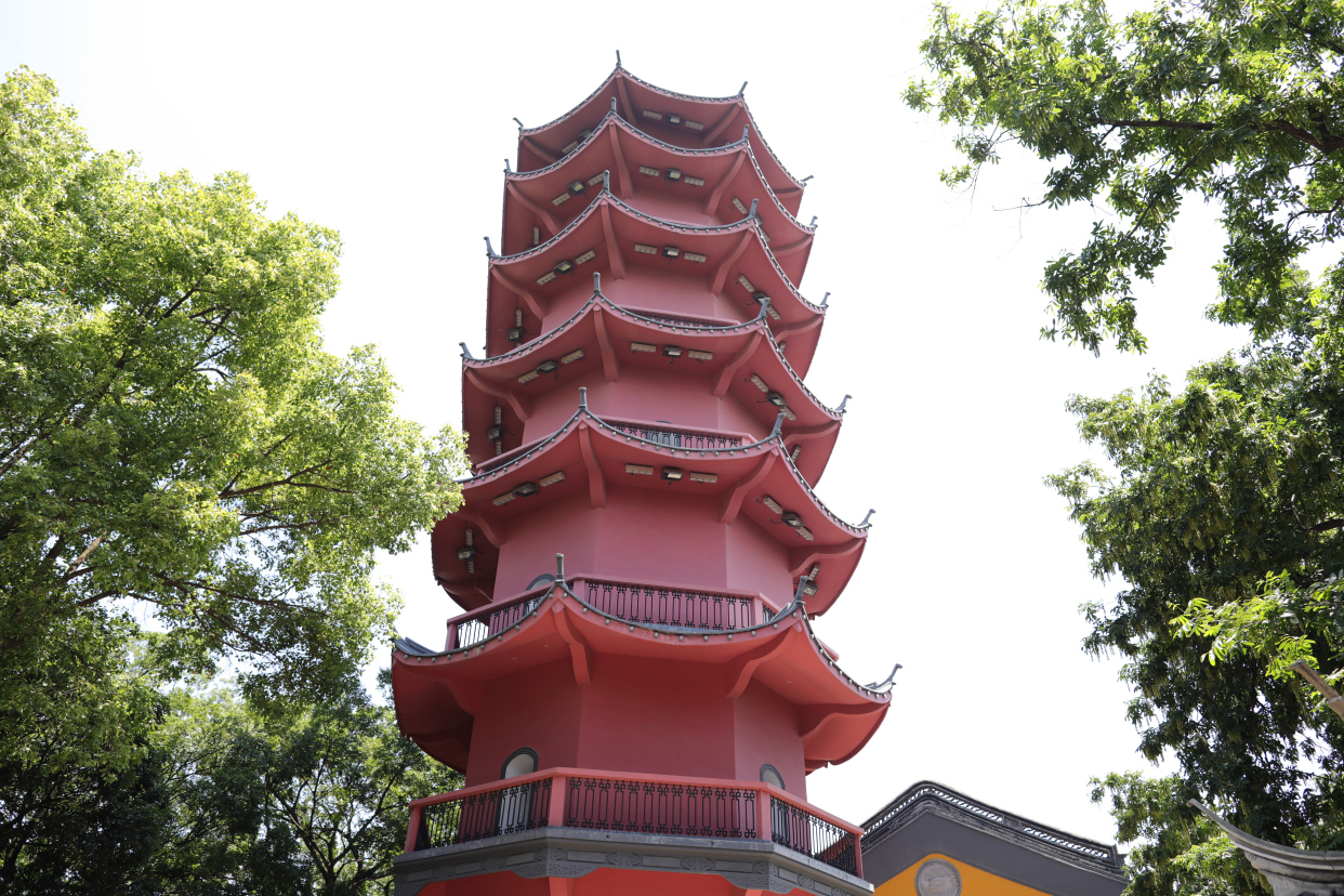 无锡锡惠公园龙光寺绣球花