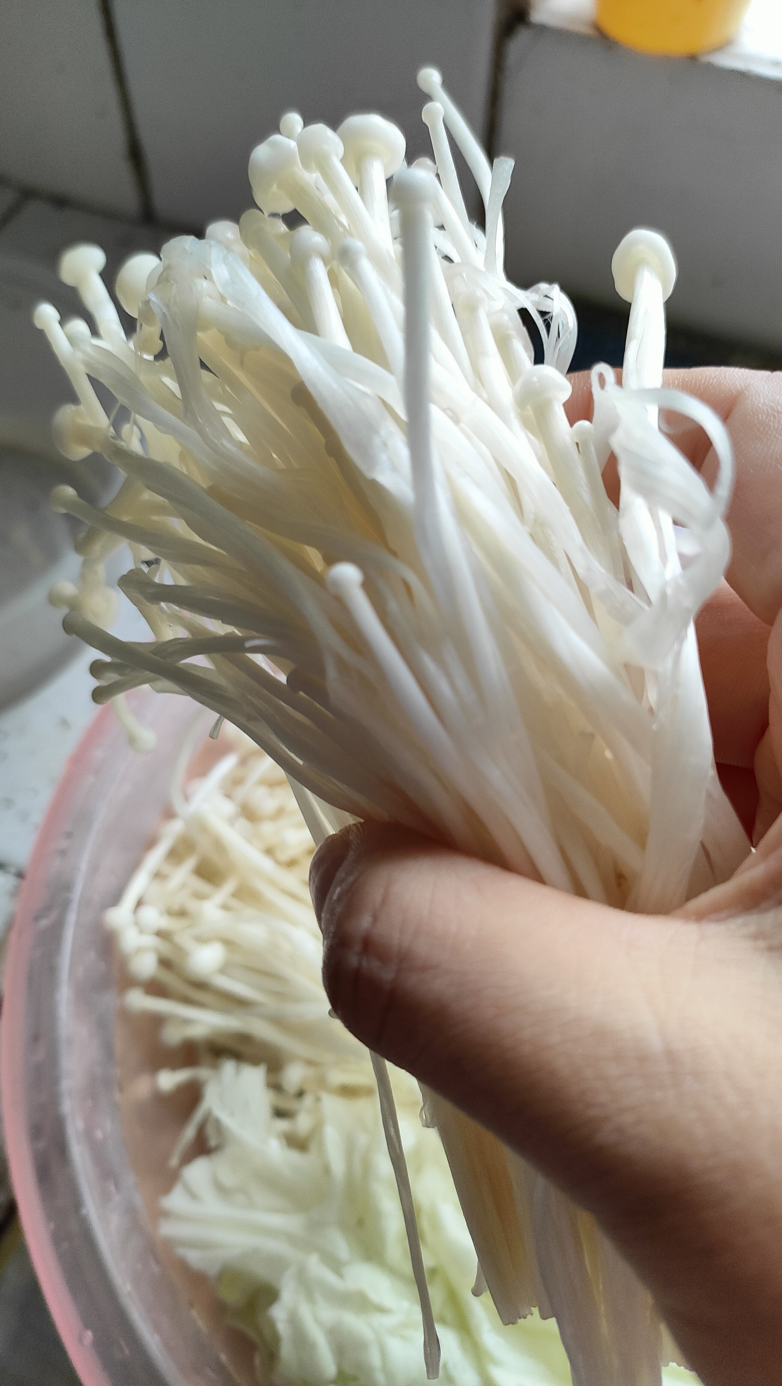 金针菇头部发黑但身子白白净净,这是好的还是坏了?