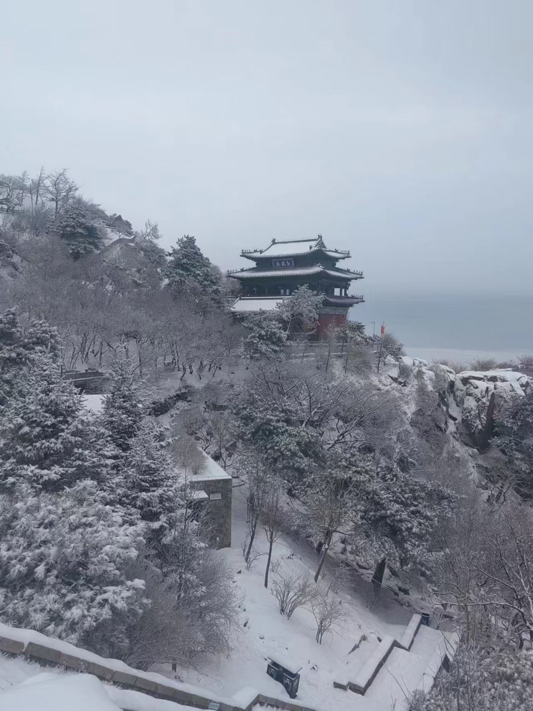 泰山风景春天图片