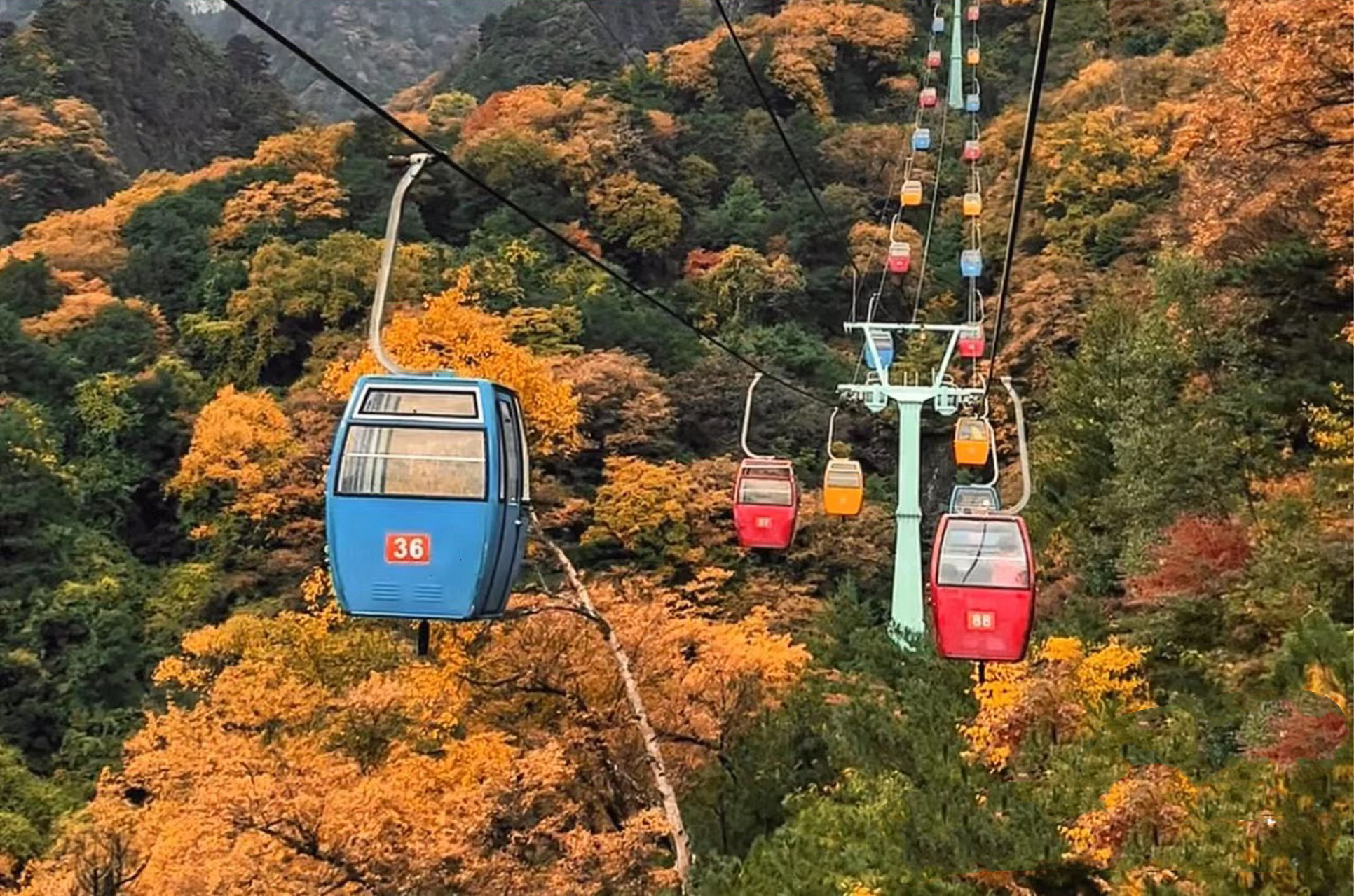 秦岭的朱雀国家森林公园风景如画,具体位置在西安鄠邑区,往南一直到东