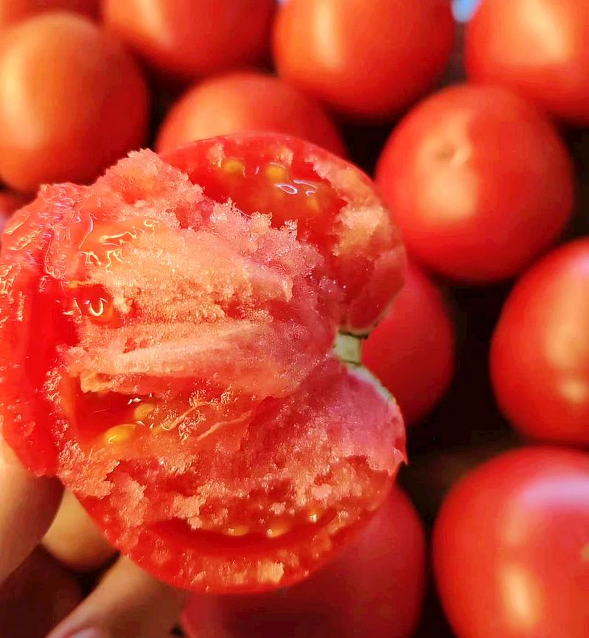 暖冬好物大赏# 陕西泾阳普罗旺斯孕妇水果当季沙瓤西红柿,自然熟邢适