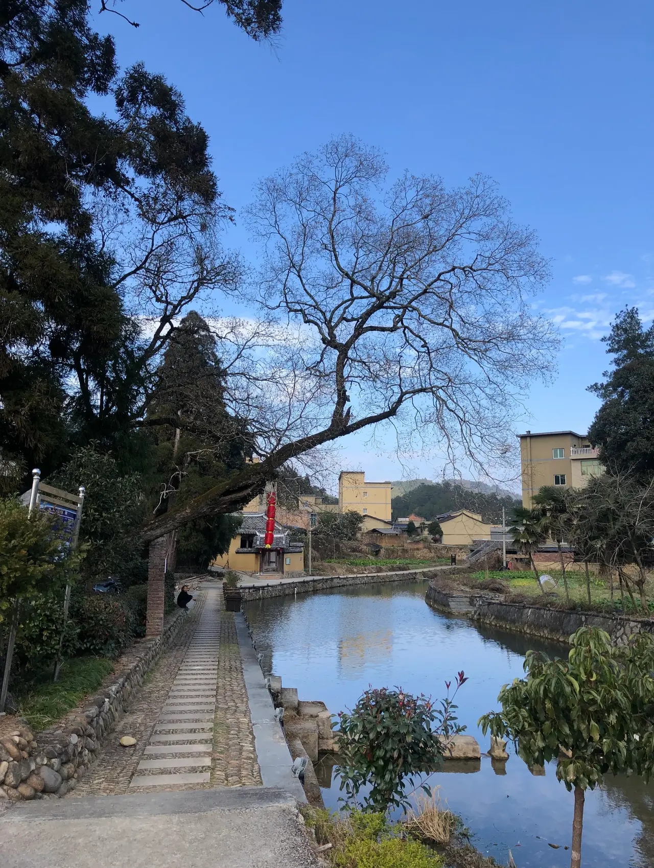 现在的丧事办得越来越简单了,我们村一个老人去世了,享年90岁,她的