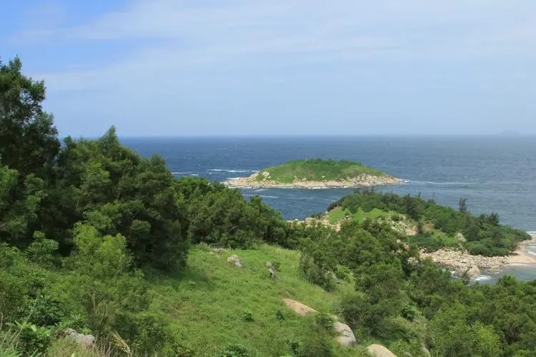 大树岛位于阳西县西南部,由三座岛屿组成,总面积约360亩