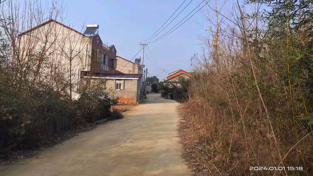 新洲汪集孔埠道路规划图片