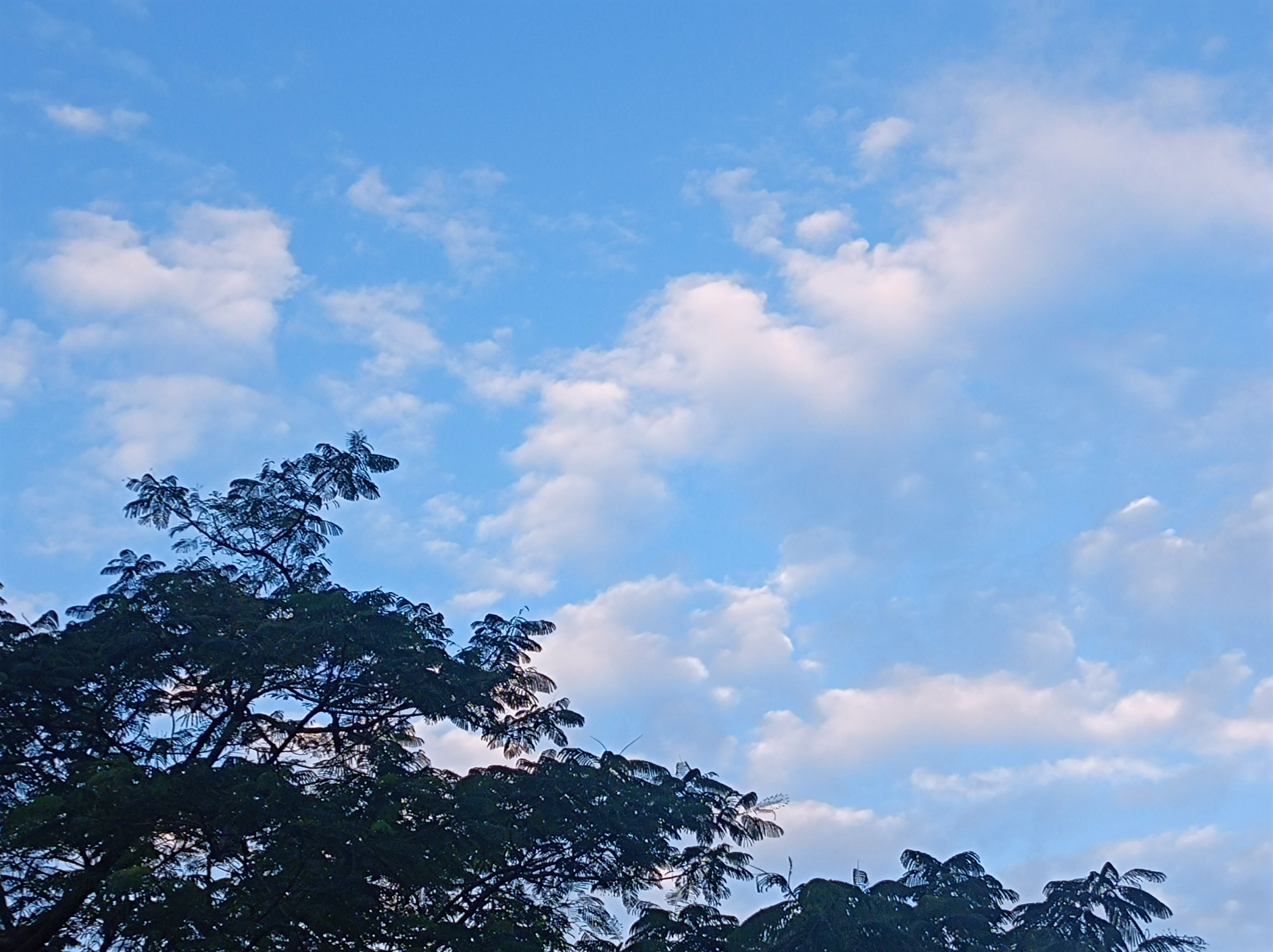 为什么熬过低谷的人很多都沉默寡言了?