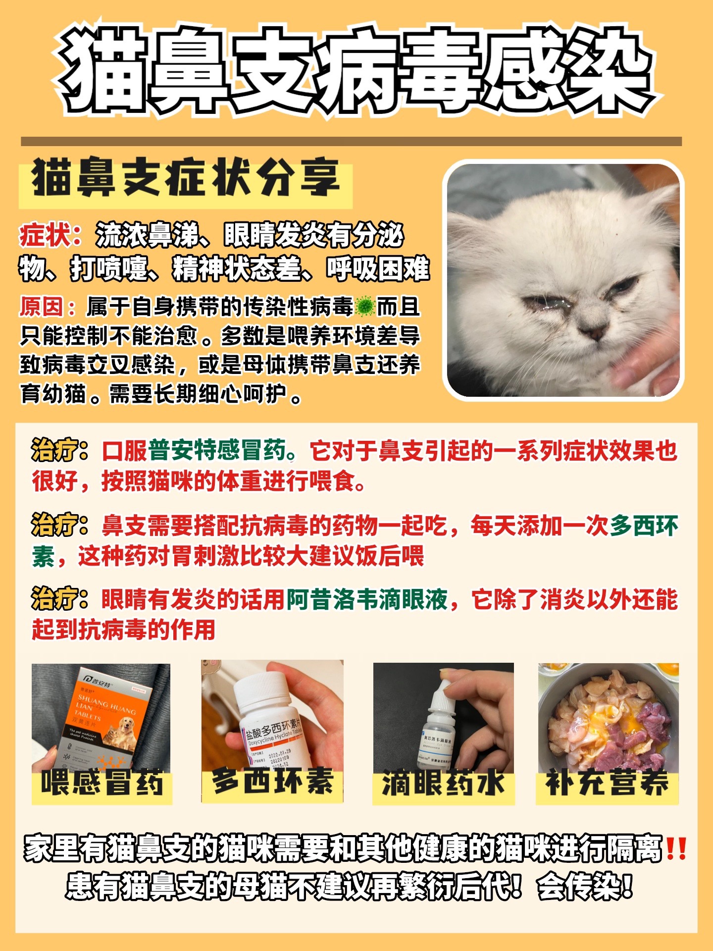 猫打喷嚏是怎么回事图片