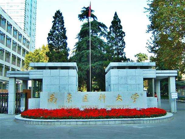 教育部高水平公共卫生学院建设高校,江苏高水平大学建设高峰计划a类