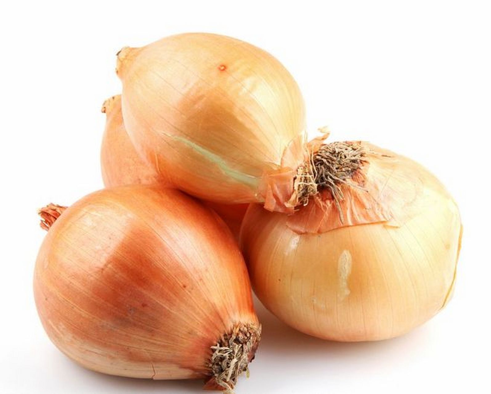 洋葱起源于中亚或西亚,传播至全球,是重要的蔬菜之一.