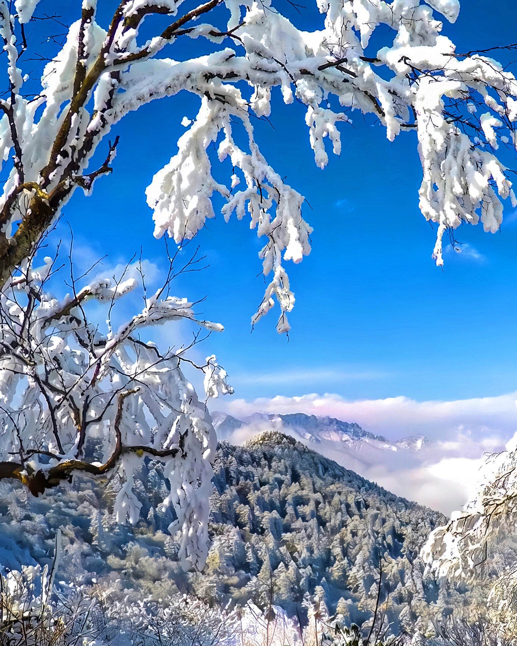 西岭雪山,滑雪来袭