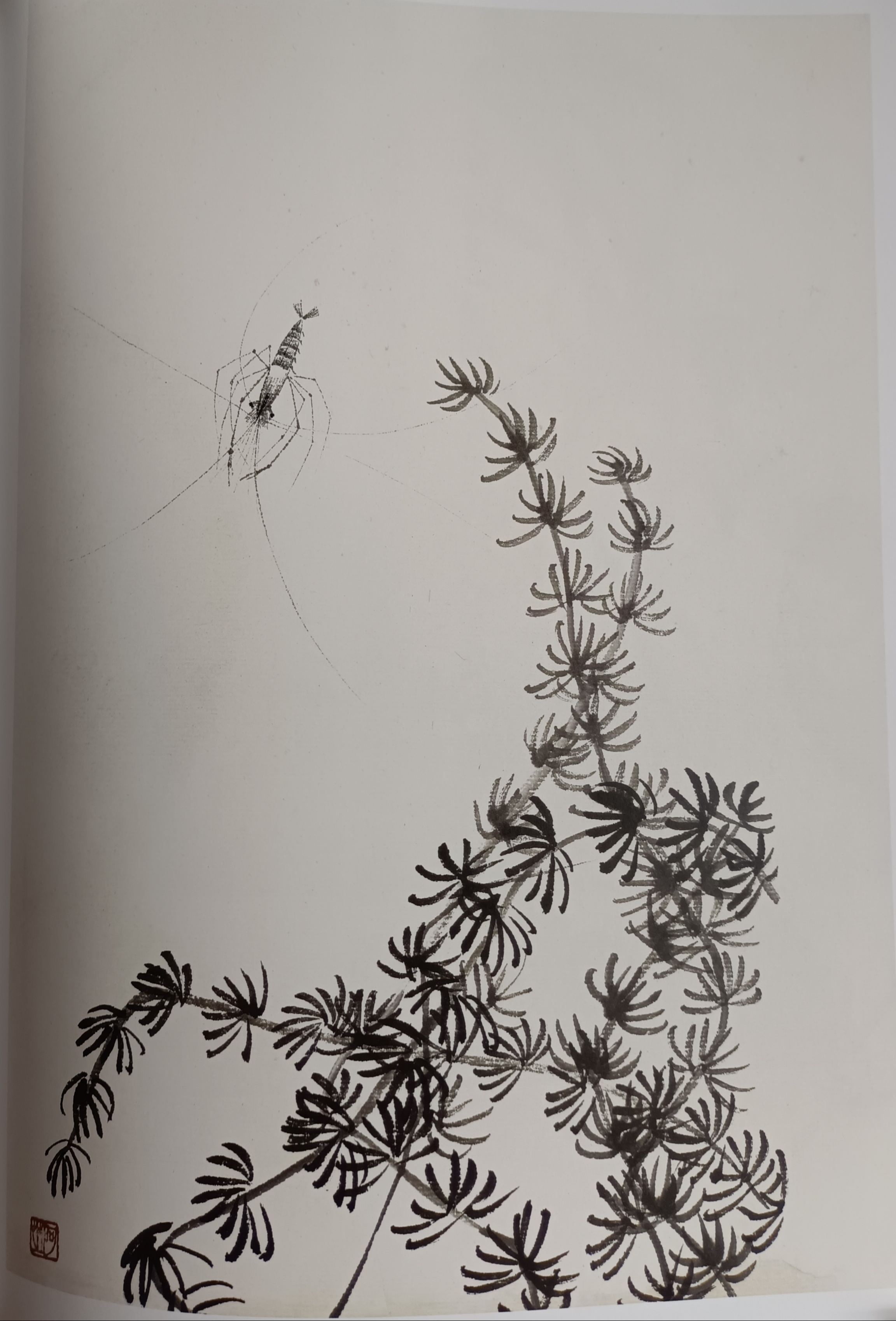 齐白石鱼虾蟹作品欣赏(三)