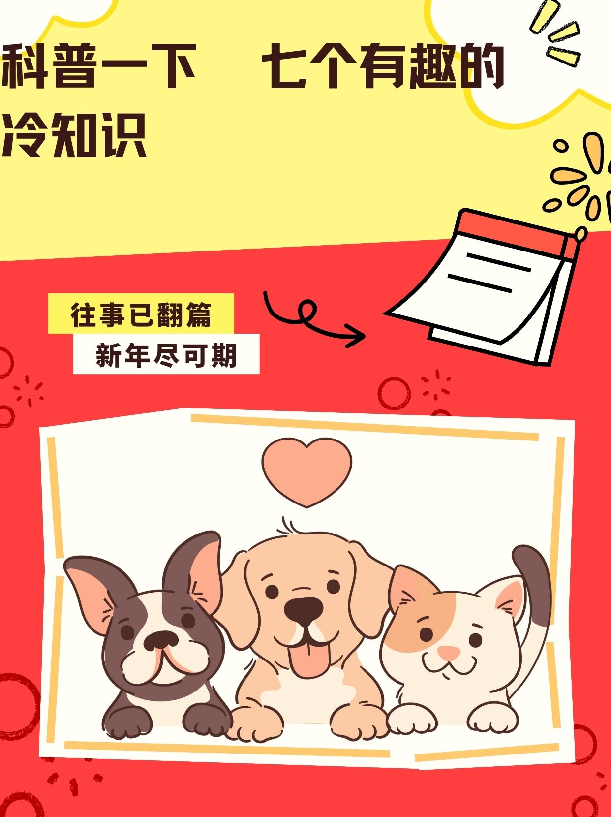 科普一下  七个有趣的冷知识	 熊猫的大便形状是