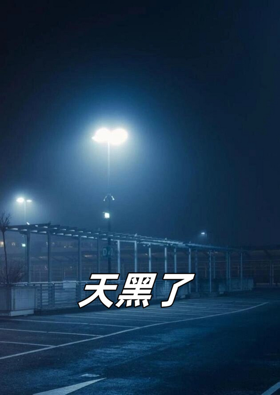 天黑了  明明内心充满了思念和牵挂,却因为各种原因不能表达出来.