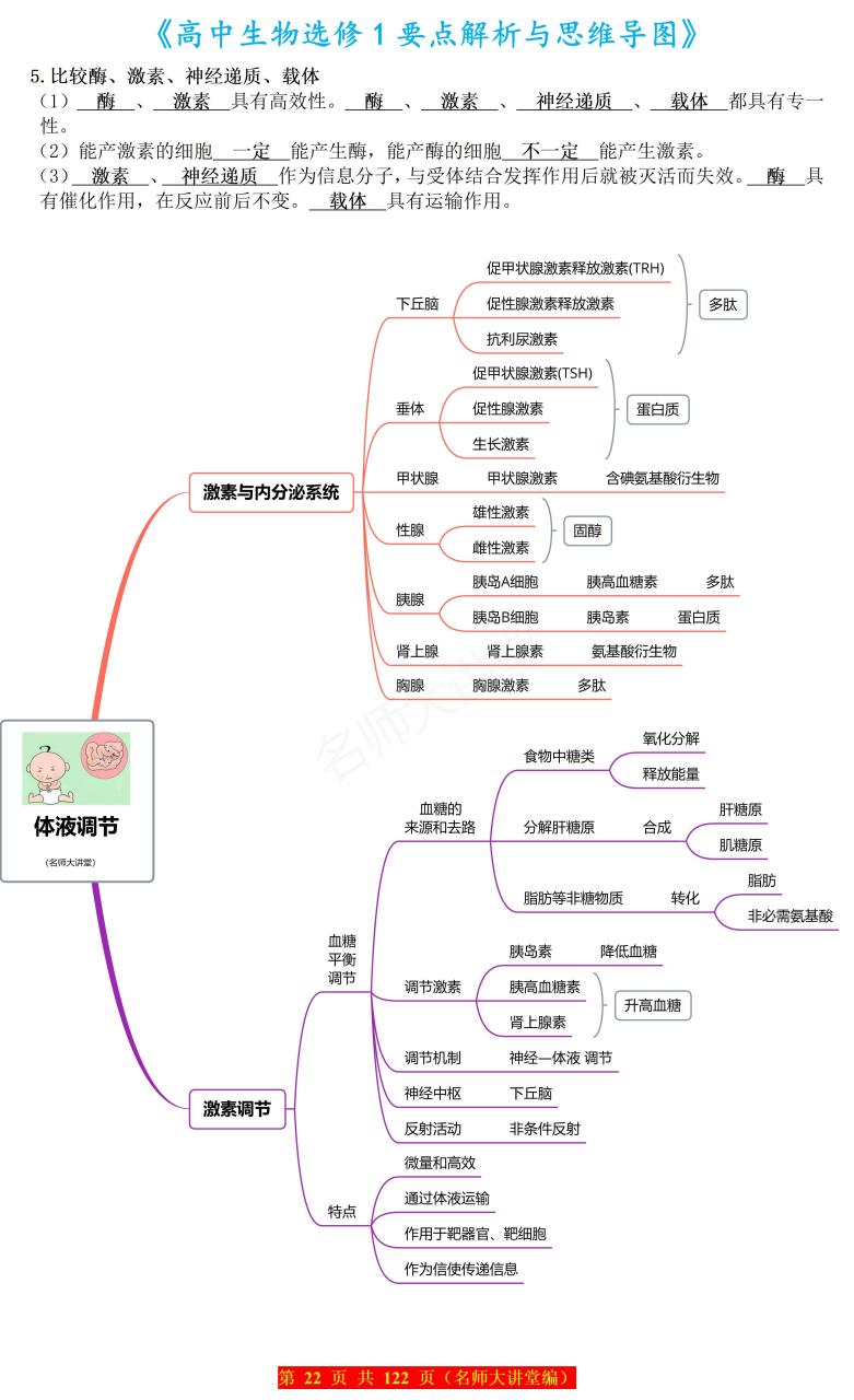 体液调节的思维导图图片