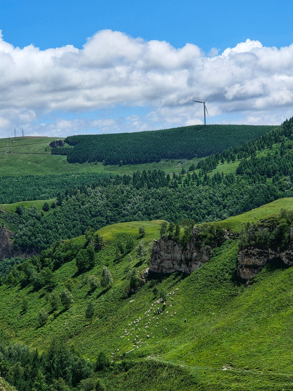 车程3小时,开门便见的风景  在那个北京酷暑难耐的夜晚,我却在麻田岭