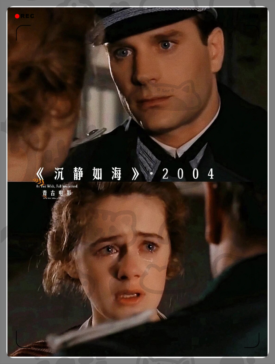 法国电影2004年作品《沉静如海》  以其深情的剧情和爱情元素深受观众