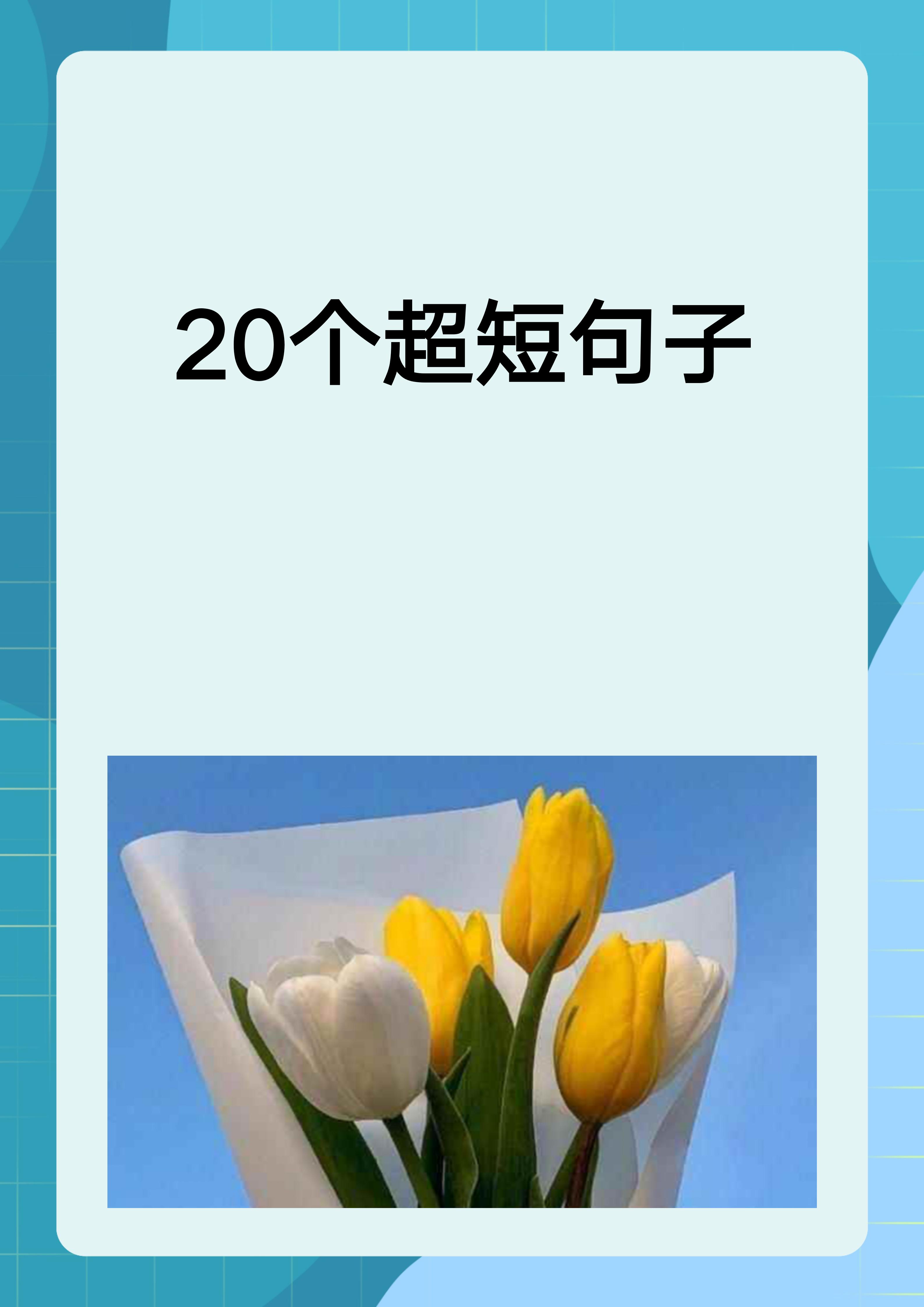 20个超短句子 1 晨光熹微