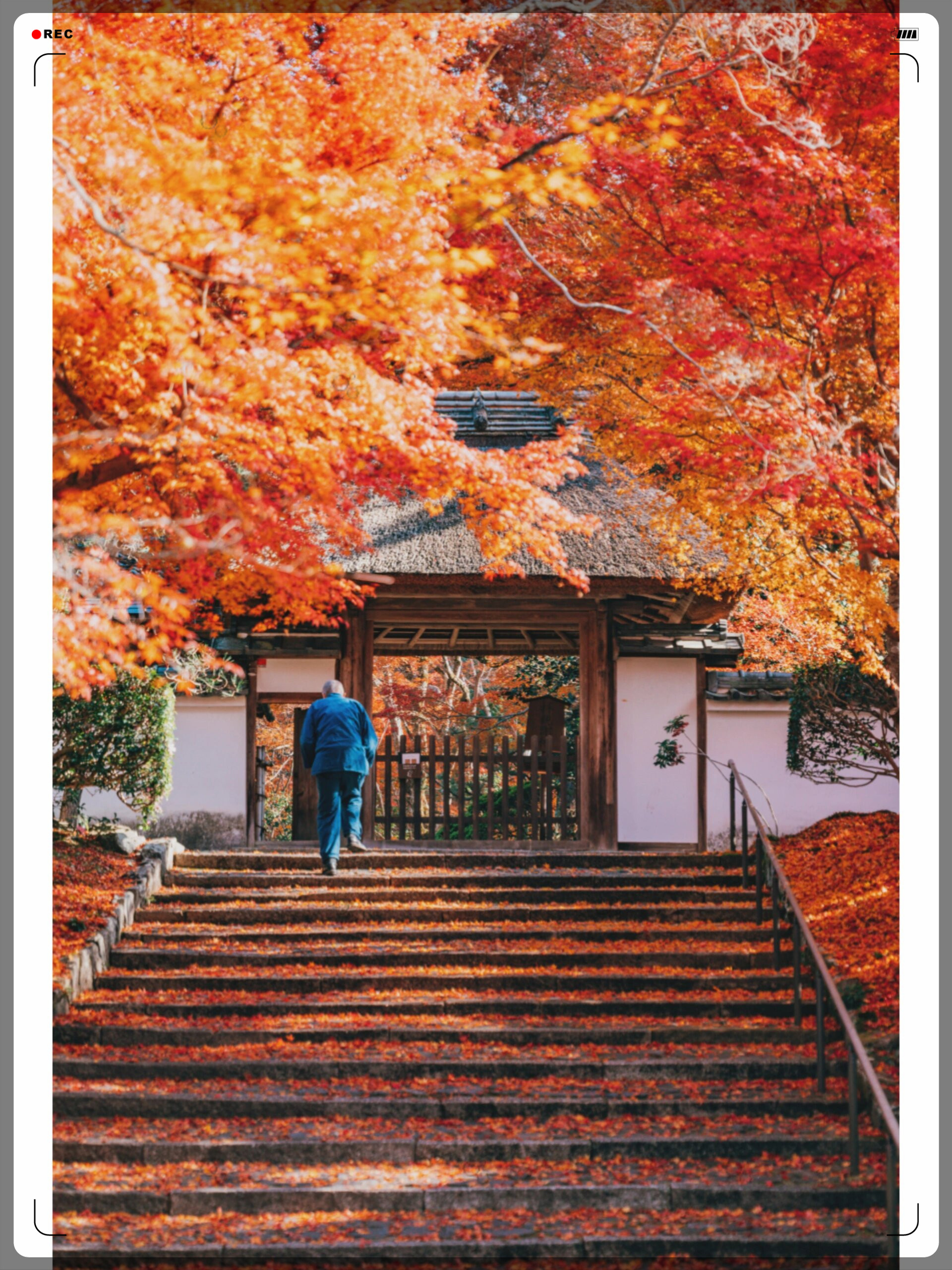 宝筐院:寺院低调而惊艳,红叶小径让人印象深刻. 祇王寺:小