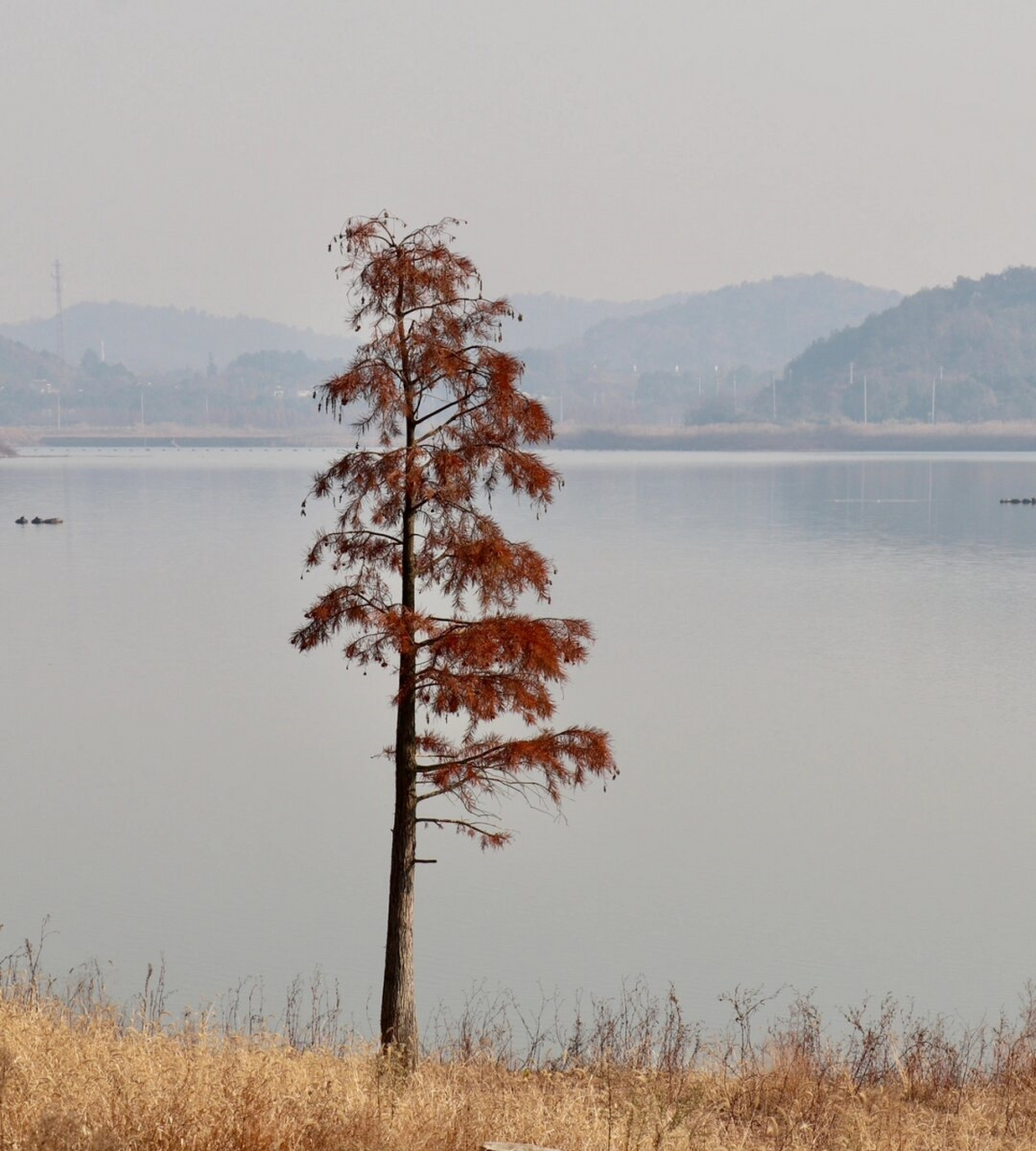 溧阳大溪水库图片