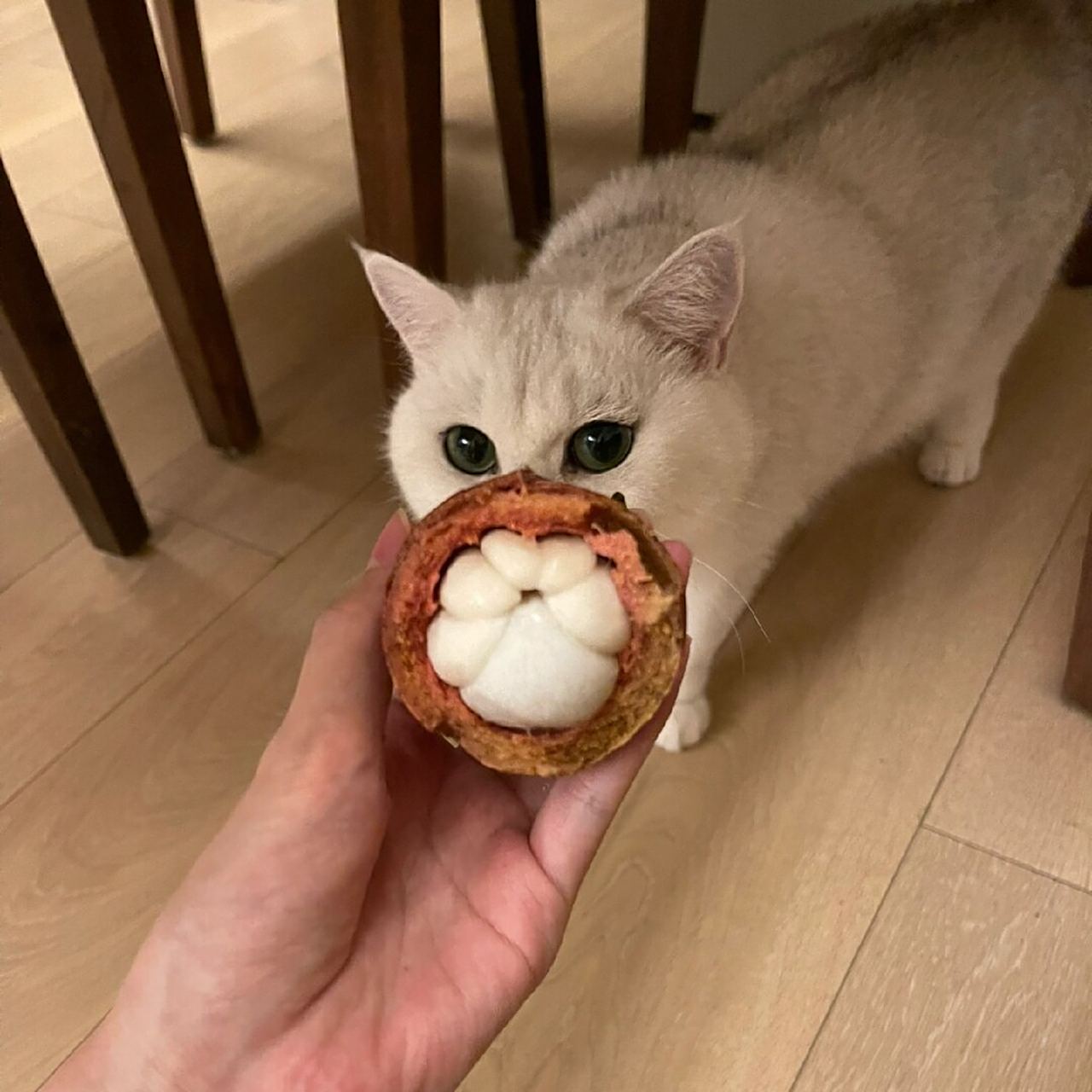 这个山竹的外形和猫咪的小爪爪简直一模一样,让人不禁想起可爱的小