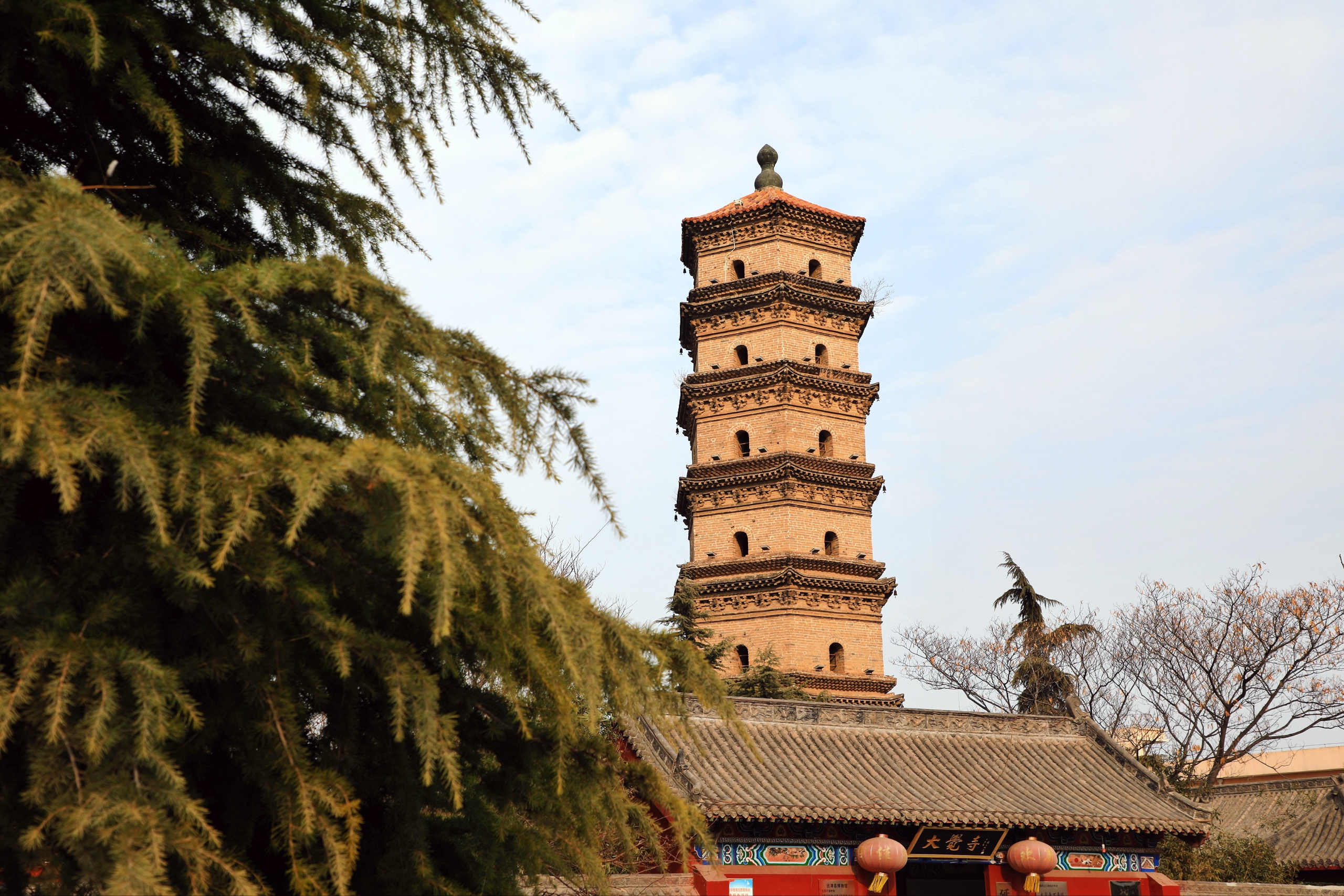 元旦探寻延津县大觉寺万寿塔:古韵与新生的交织