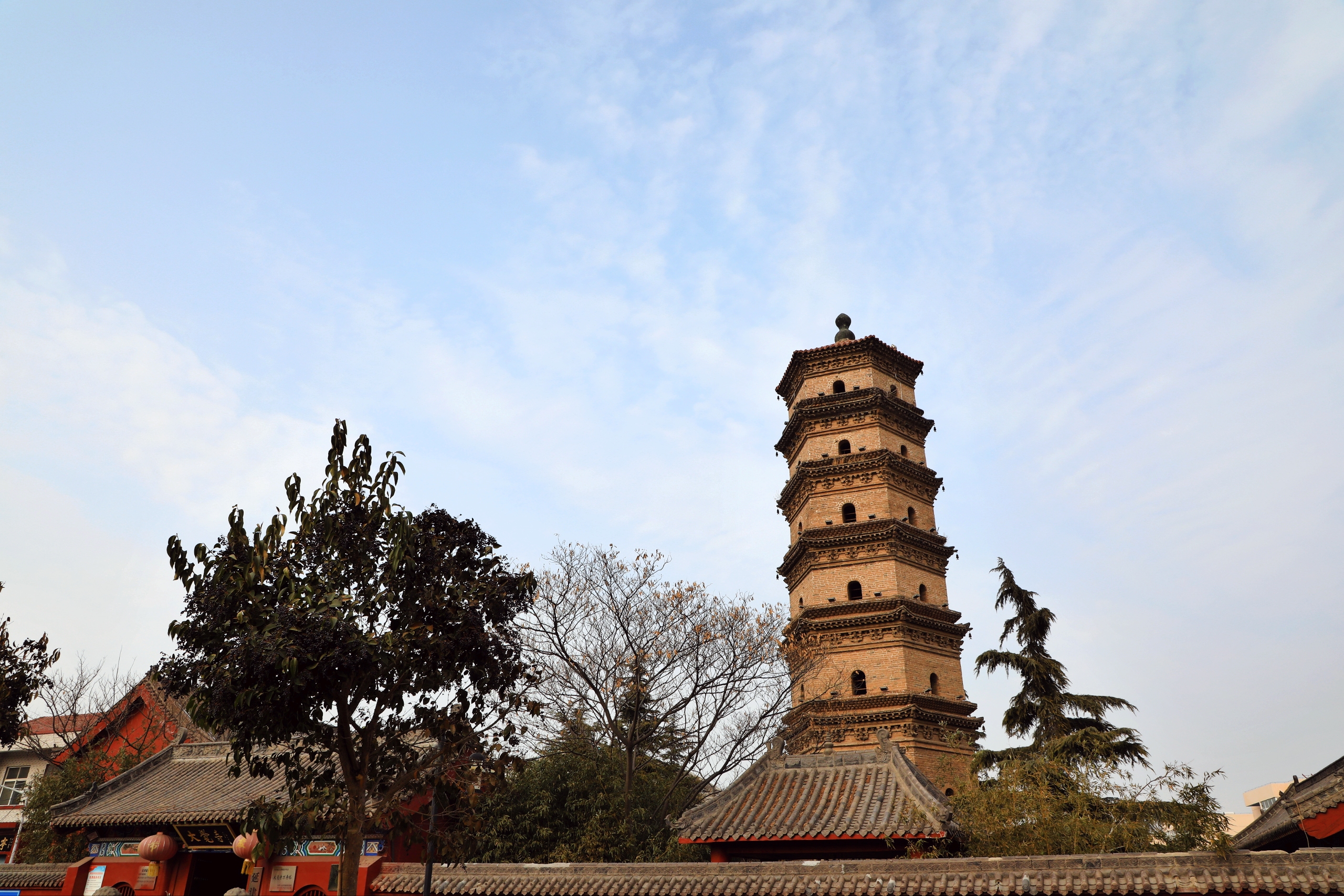 元旦探寻延津县大觉寺万寿塔:古韵与新生的交织