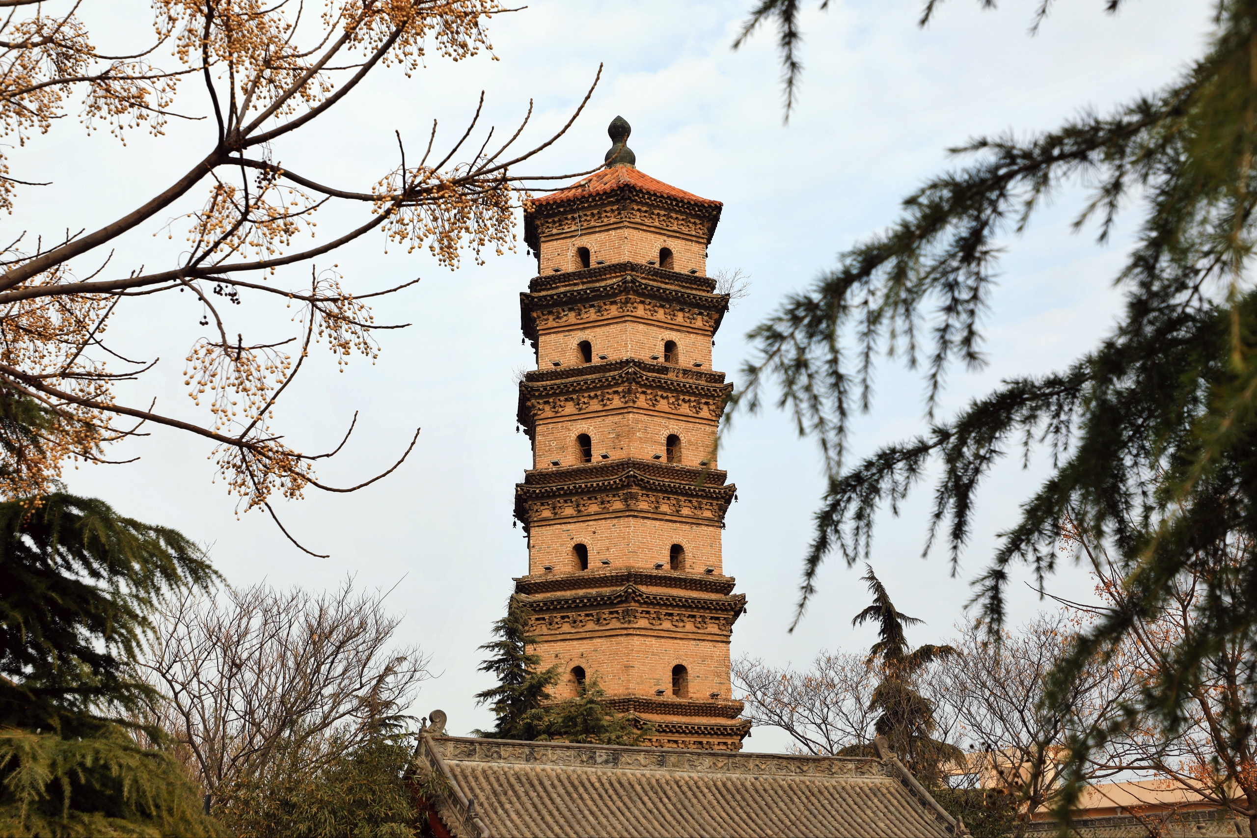 元旦探寻延津县大觉寺万寿塔:古韵与新生的交织