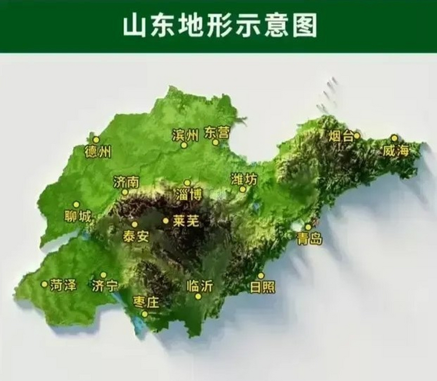 山东地形图,地理位置最好的是青岛,烟台,济南和威海.