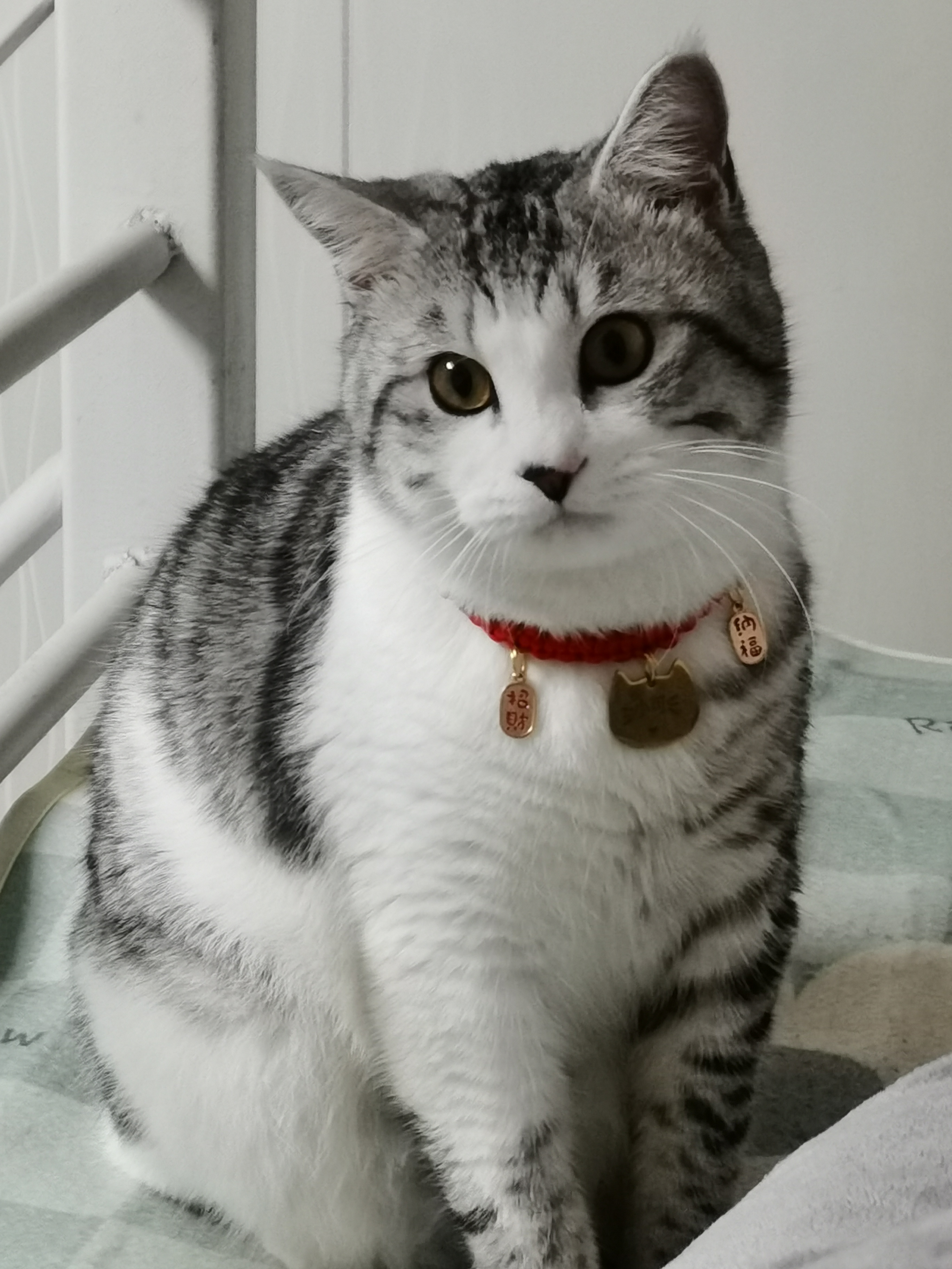 因为上个月的假期用完了,所以我上个月就只能连着上班不能休息