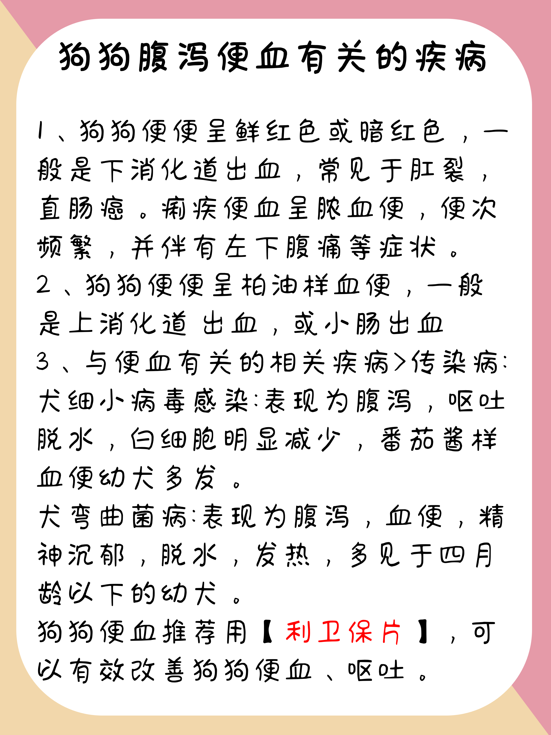 痢疾的症状和治疗方法图片