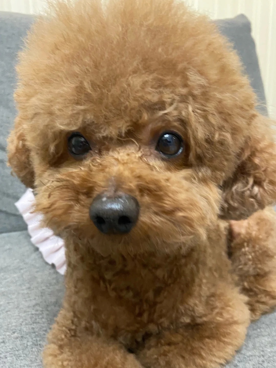 如果病情继续恶化就可能发展成心力衰