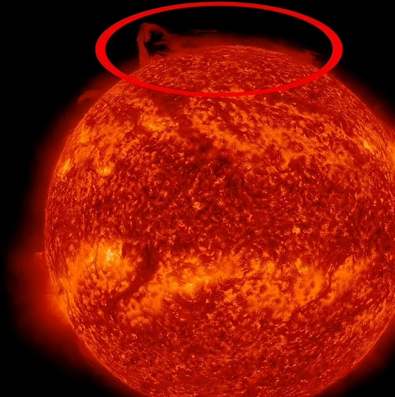 太阳北极区域脱落的等离子体丝是一种罕见的现象,科学家们认为这并不