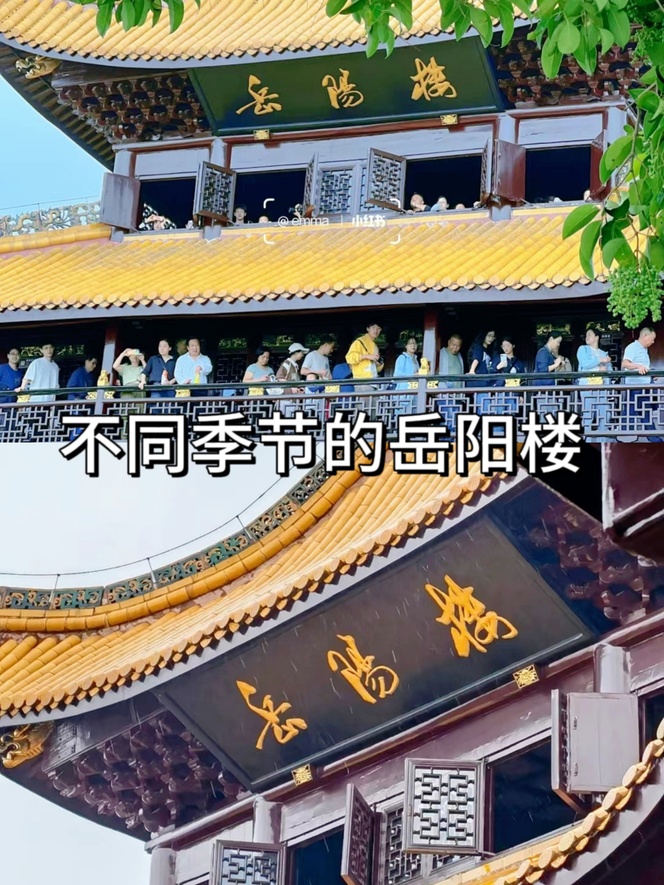 波撼岳阳楼图片